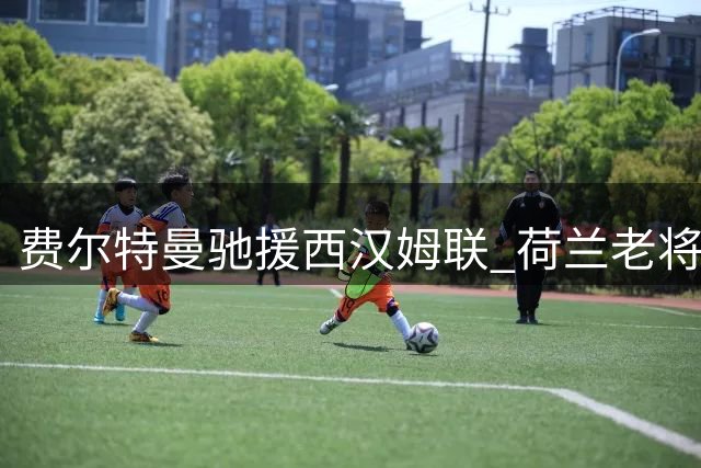 费尔特曼驰援西汉姆联 荷兰老将扛起英冠重返重任